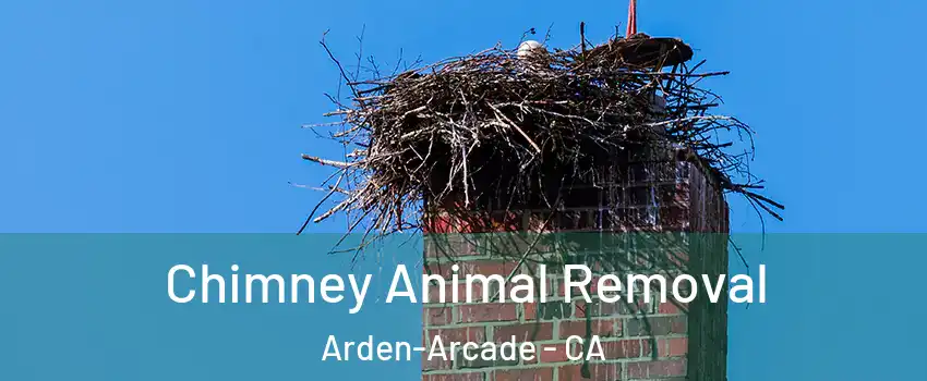  Chimney Animal Removal Arden-Arcade - CA