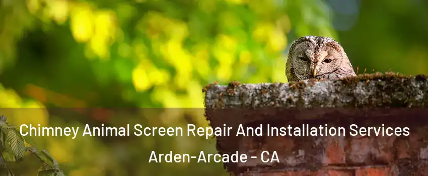  Chimney Animal Screen Repair And Installation Services Arden-Arcade - CA