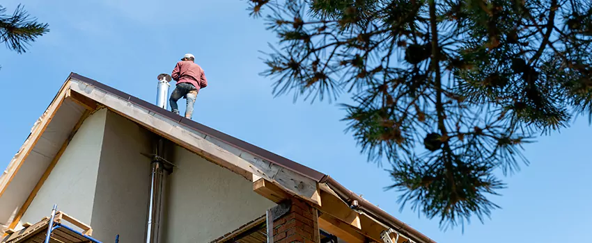 Birds Removal Contractors from Chimney in Arden-Arcade, CA