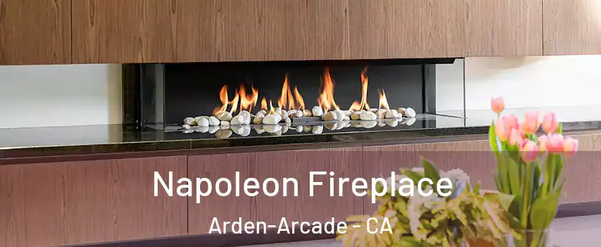  Napoleon Fireplace Arden-Arcade - CA